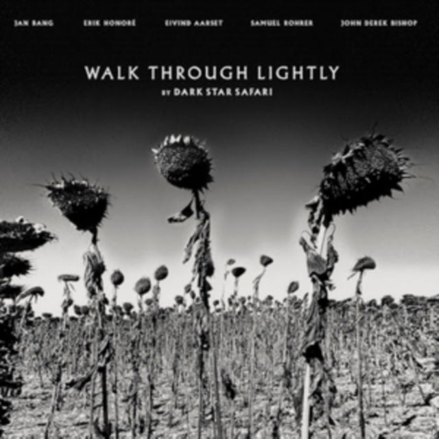 Dark Star Safari - Walk Through Lightly (Vinyl)