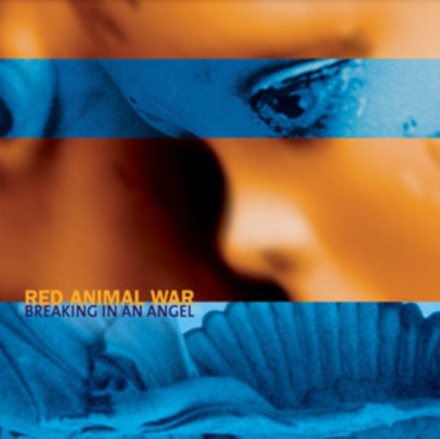Red Animal War - Breaking In An Angel (Vinyl)