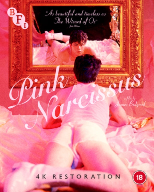 Pink Narcissus (Blu-ray)