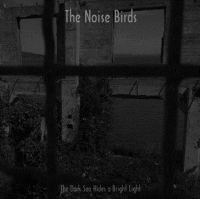 Noise Birds - The Dark Sea Hides A Bright Light (Vinyl)