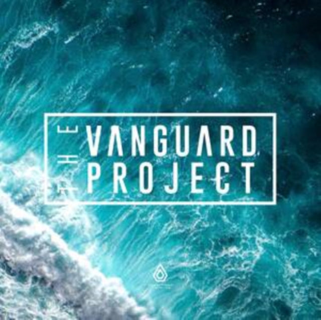 Vanguard Project - Stitches / What U Do Remixes (Vinyl Single)