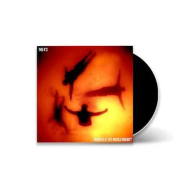 Ks - I Wonder If The World Knows? (CD)