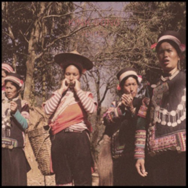 Kink Gong - Voices (Vinyl)