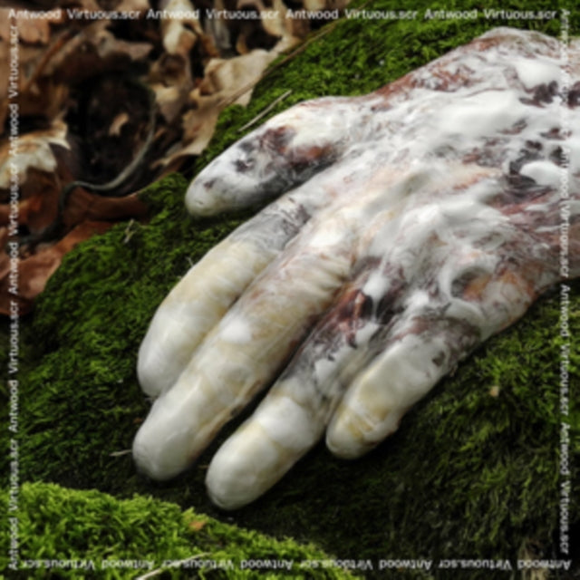 Antwood - Virtuousscr (CD)