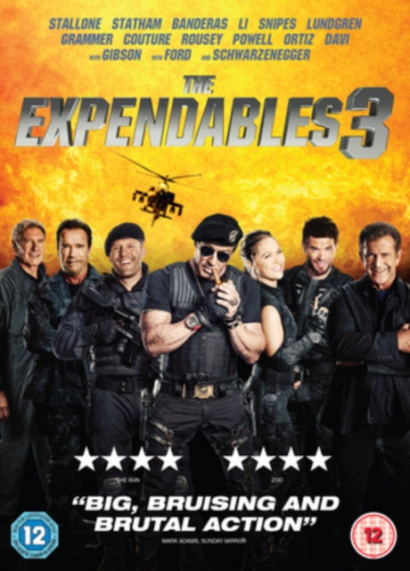 Expendables 3 (DVD)