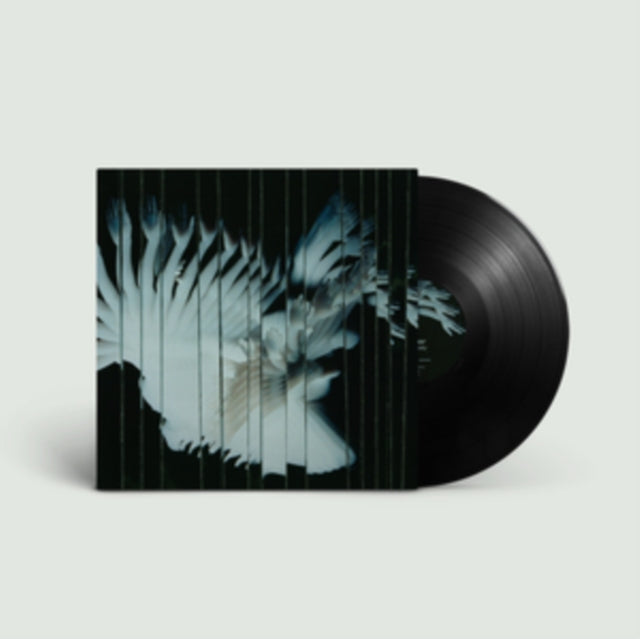 Scaler - Endlessly (Vinyl)