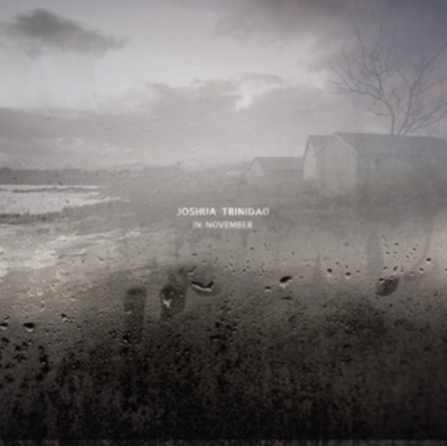 Joshua Trinidad - In November (Vinyl)