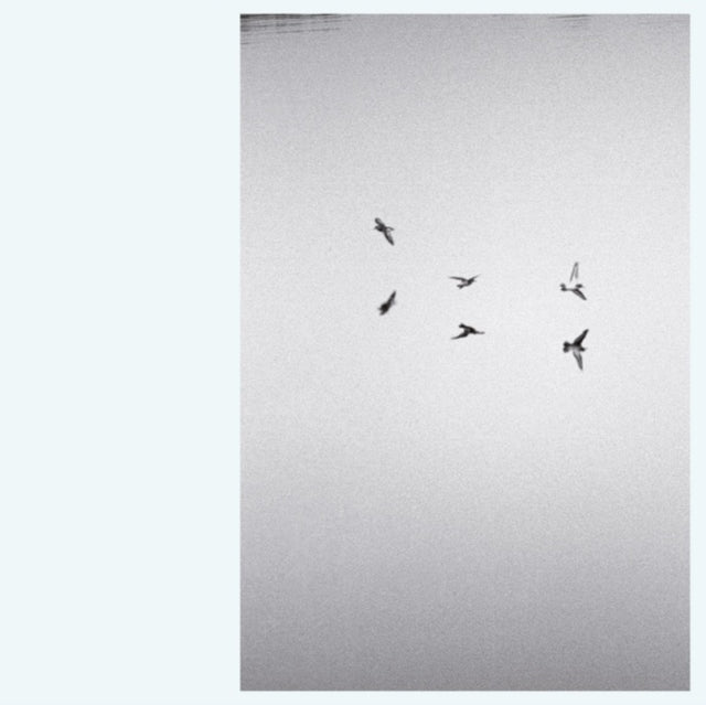 Kirk Barley - Landscapes (Vinyl)