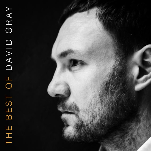 David Gray - The Best Of David Gray (CD)