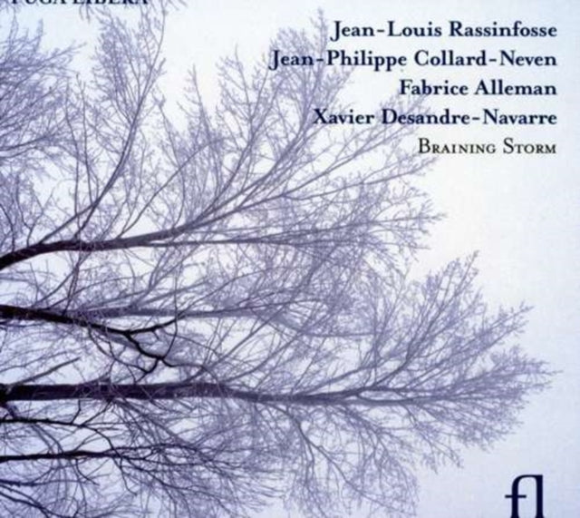 Xavier Desandre-Navarre - Rassinfosse: Braining Storm (CD)