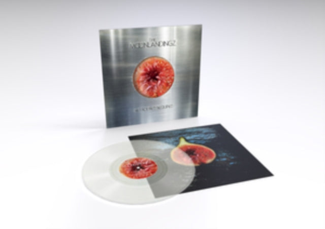 Moonlandingz - No Rocket Required (Vinyl)