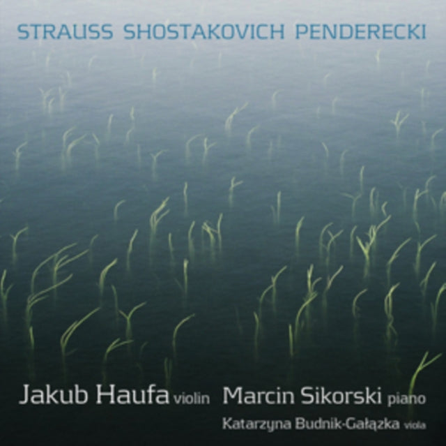 Haufasikorksibudnik - Violin Sonatas (CD)