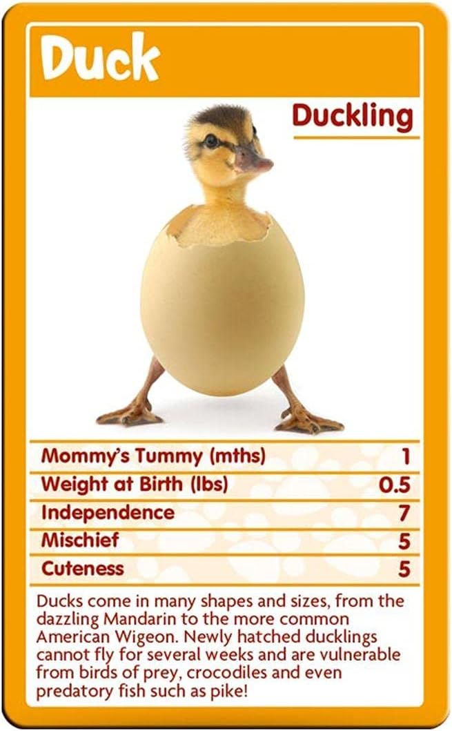 Top Trumps Card Game Classics Baby Animals