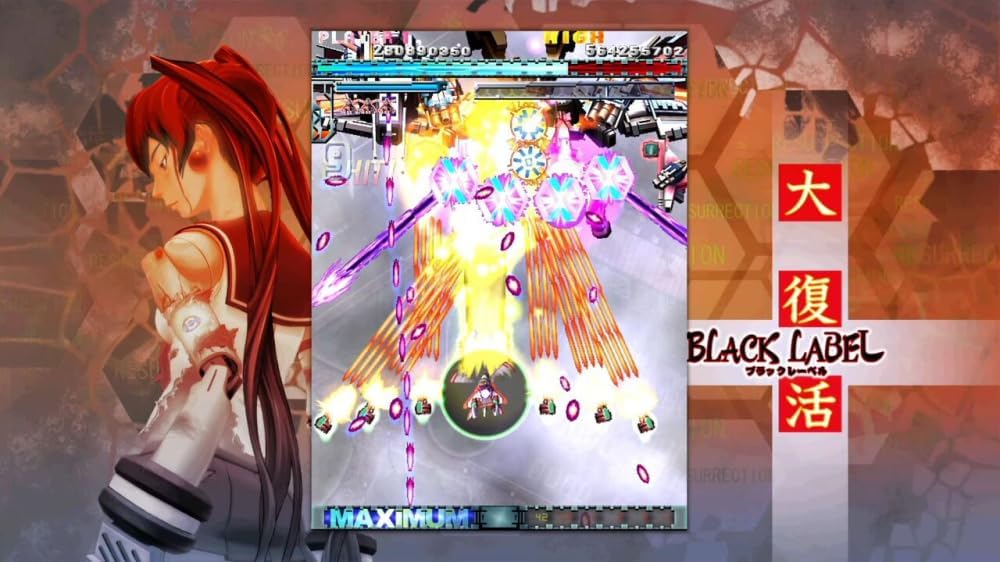 DoDonPachi Resurrection (Nintendo Switch)