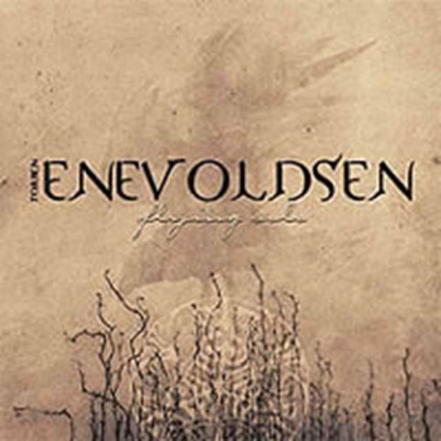 Torben Enevoldsen - Flying Solo (CD)