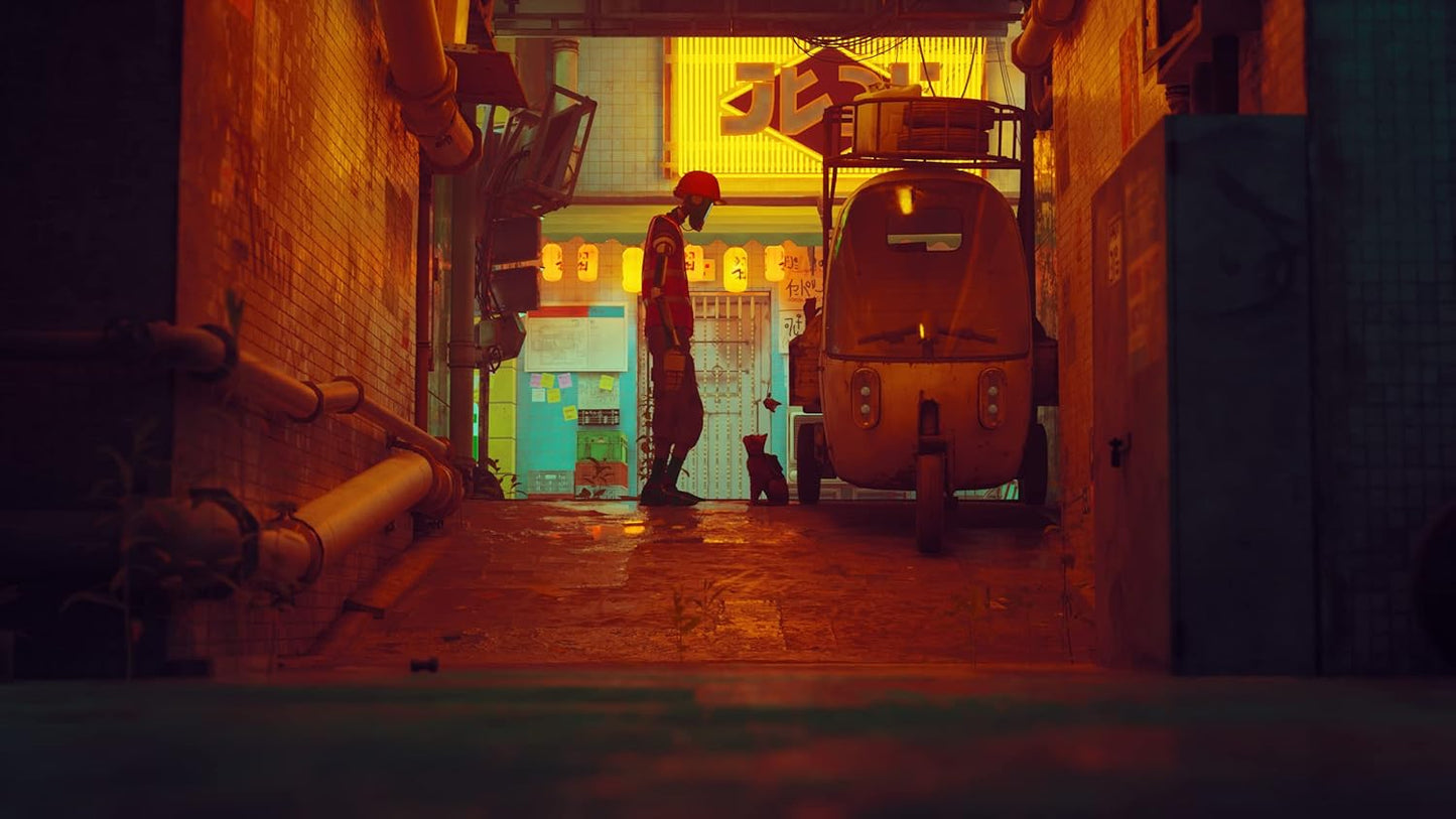 Stray (PS4)