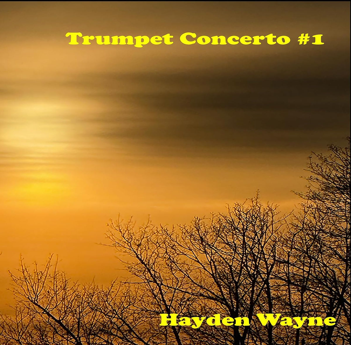 Hayden Wayne - Trumpet Concerto #1 (CD)