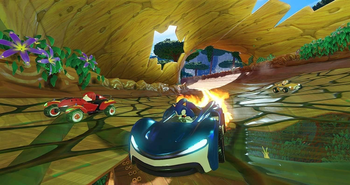 Team Sonic Racing (English/French Box) (PS4)