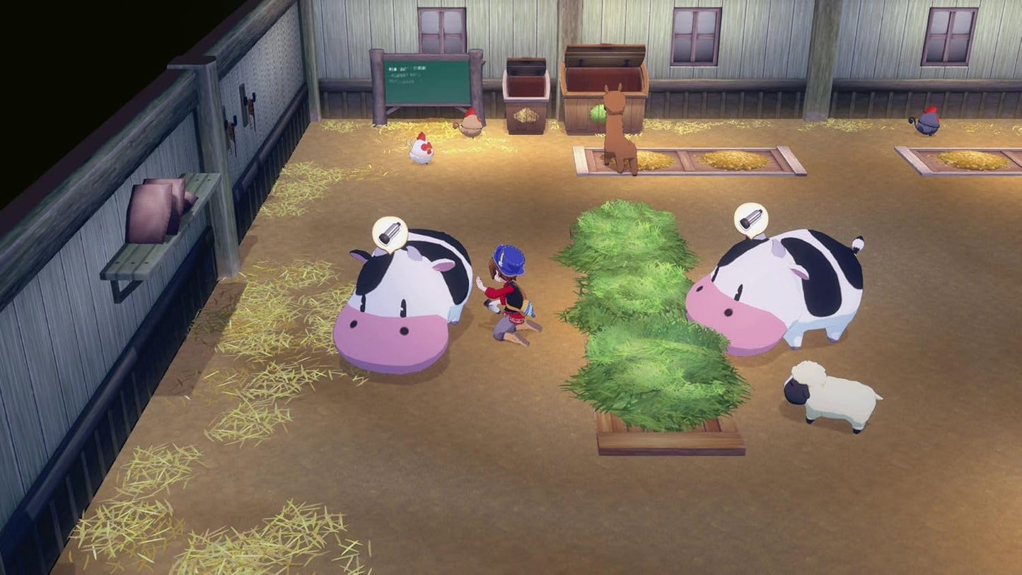 Story of Seasons: Grand Bazaar - Limited Edition (Nintendo Switch 2)
