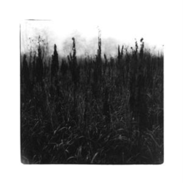 David Bennet & Vilhelm Bromander - Within Reach Of Eventuality (CD)