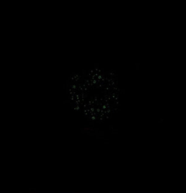 Dughpa - II (CD)