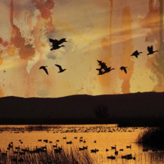 Stellar Descent - Fading (CD)