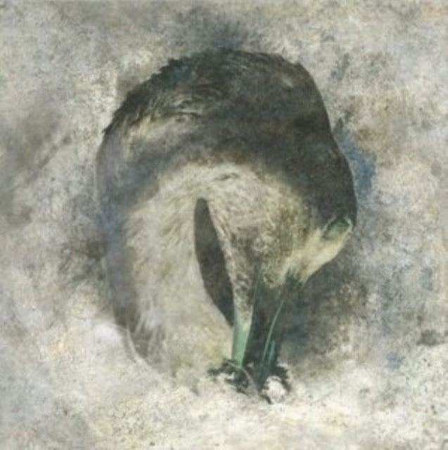 Suma - Ashes (20th Anniversary Edition) (CD)