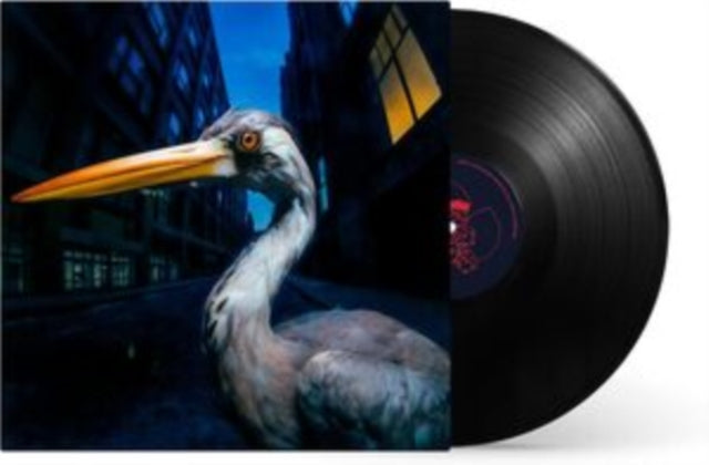 Antony Szmierek - Decoding Birdsong (Vinyl)