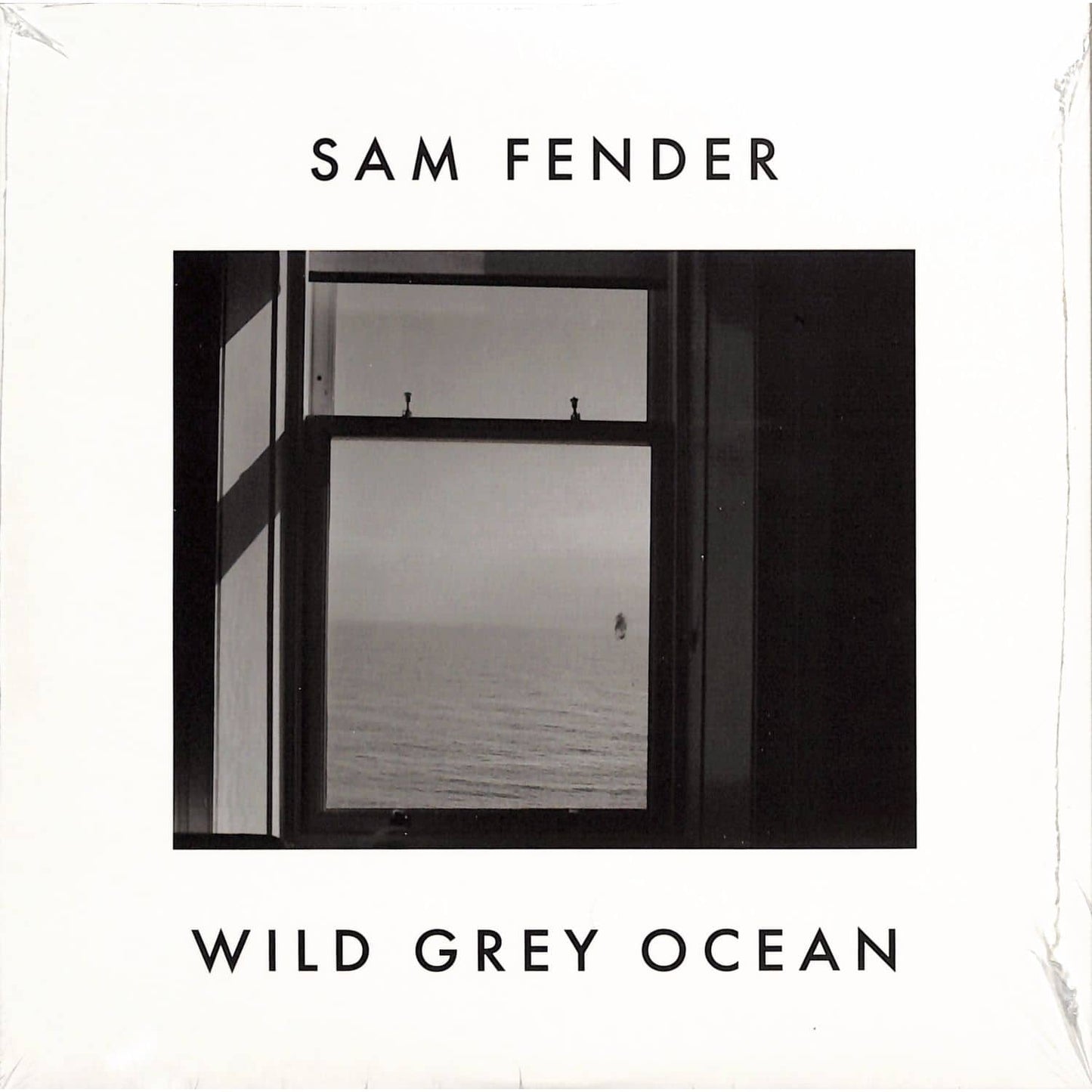 Sam Fender - Wild Grey Ocean / Little Bull Of Blithe (Vinyl)
