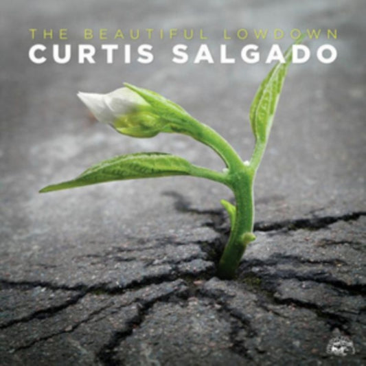 Curtis Salgado - Beautiful Lowdown (CD)