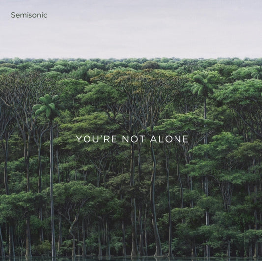 Semisonic - Youre Not Alone (Vinyl Single)