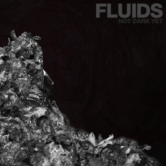Fluids - Not Dark Yet (CD)