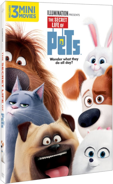 Secret Life Of Pets (USA Import) (DVD)