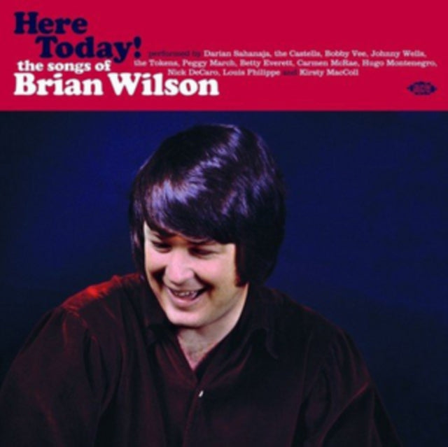 Various Artists - Here Today! The Songs Of Brian Wilson (Vinyl)