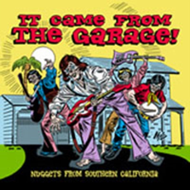 Various Artists - It Came From The Garage - Nuggets From (CD)
