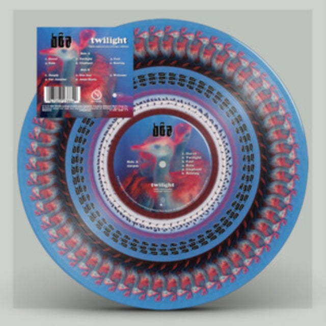 Boa - Twilight (Anniversary Edition) (Zoetrope Picture Disc) (Vinyl)