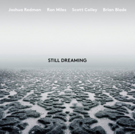 Joshua Redman - Still Dreaming (Feat. Ron Miles & Scott Colley & Brian Blade) (CD)