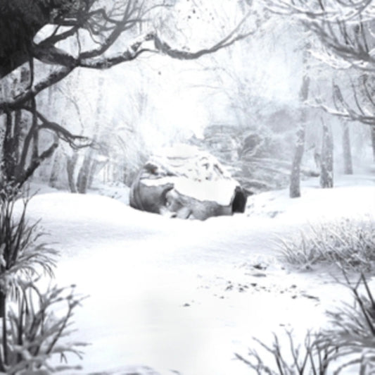 Weezer - Sznz: Winter (CD)