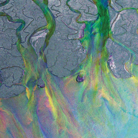 Alt-J - An Awesome Wave (Recycled Metallic Vinyl) (Syeor) (Vinyl)