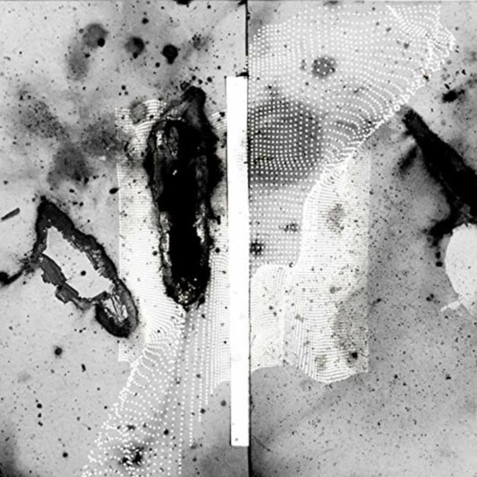 Certain Creatures - Vipassana (Vinyl)