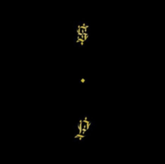 Shabazz Palaces - Black Up (CD)