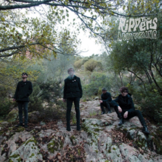 Rippers - A Gut Feeling (Vinyl)