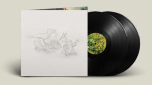Big Thief - Dragon New Warm Mountain I Believe In You (Vinyl)
