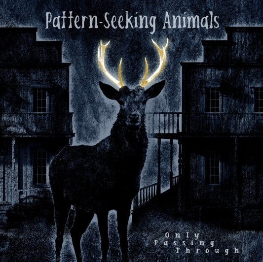 Pattern-Seeking Animals - Only Passing Through (Vinyl)