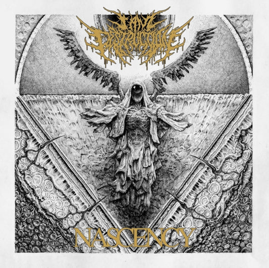 I Am Destruction - Nascency (CD)