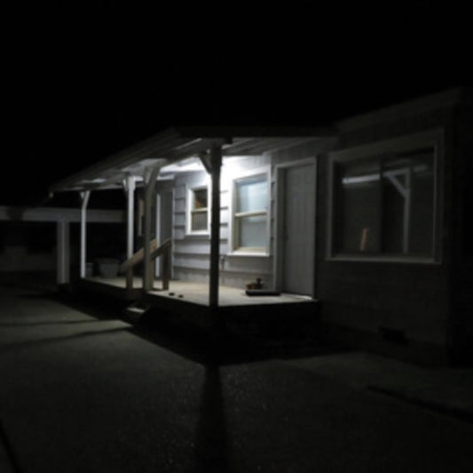 Damien Jurado - Birds Tricked Into The Trees (Coke Bottle Green Vinyl) (Vinyl Single)