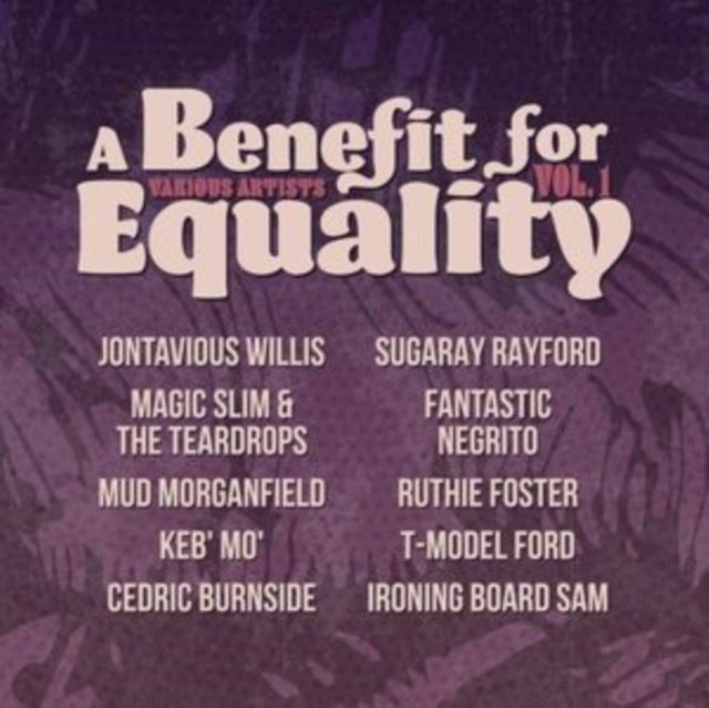 Various Artists - Benefit For Equality Vol. 1 (Vinyl)