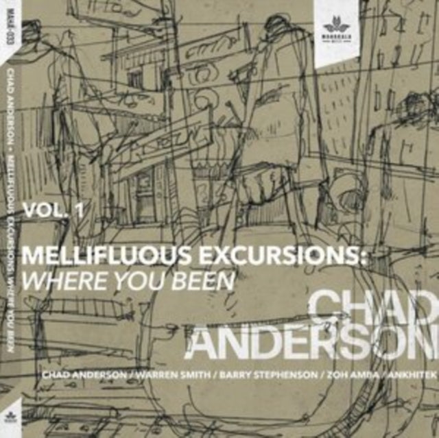 Chad Anderson - Mellifluous Excursions Vol. 1 - Where You Been (CD)