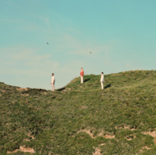 Peakes - Peripheral Figures (Vinyl)