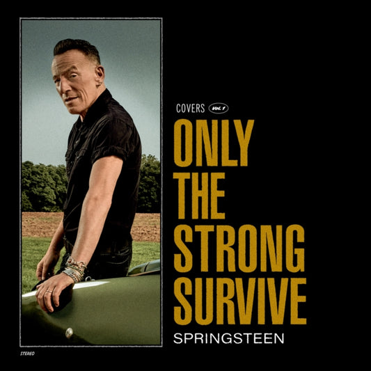 Bruce Springsteen - Only The Strong Survive (Etched D-Side) (Vinyl)